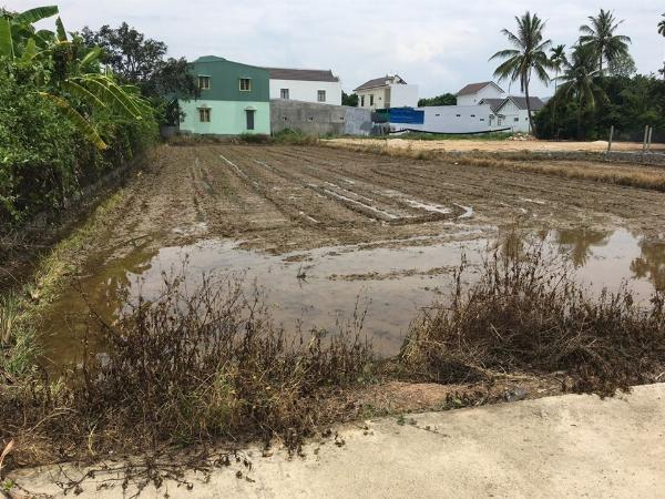 Diên Khánh - Bán nhanh lô đất đẹp 2 mtien đường oto thôn Phú Ân Nam  - Diên An 