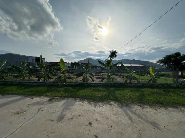 DS77 - Diên Sơn - Bán đất hẻm oto đường Liên Xã