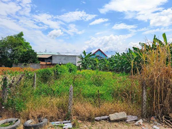 DH17 - Diên Lạc - Bán đất đường nhauwj thôn Quang Thạnh (Diên Hòa cũ)