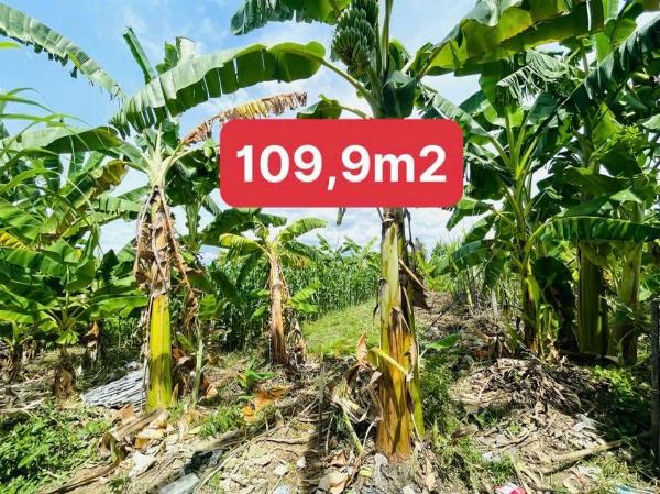 DA68 - Diên An - Bán đất đường oto thôn Phú Ân Nam