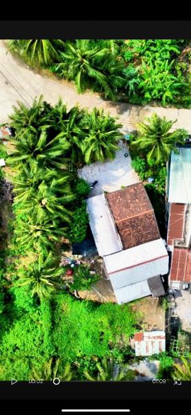 DS74 - Diên Sơn - Bán đất mặt tiền đường Gò Đại